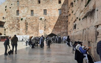 Sărbătoarea Duminicii Floriilor, Anulată la Ierusalim din Cauza Războiului Procesiunea tradițională din Duminica Floriilor, un eveniment cu o semnificație profundă pentru creștinii din întreaga lume, nu va mai avea loc pe străzile Ierusalimului de Est anul acesta