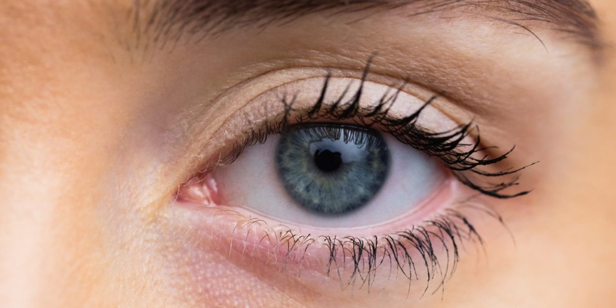 Cornee artificială din solzi de pește, o speranță pentru bolile oculare severe O echipă de cercetători de la Universitatea din Granada a dezvoltat o cornee artificială realizată din solzi de pește, care ar putea reprezenta o alternativă mai accesibilă la transplantul de cornee