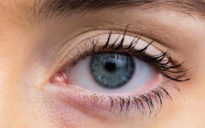 Cornee artificială din solzi de pește, o speranță pentru bolile oculare severe O echipă de cercetători de la Universitatea din Granada a dezvoltat o cornee artificială realizată din solzi de pește, care ar putea reprezenta o alternativă mai accesibilă la transplantul de cornee