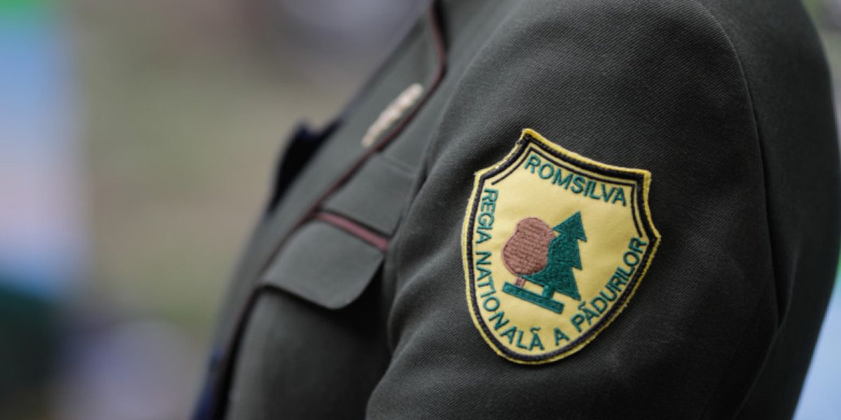 Reorganizare majoră la Romsilva: Din 41 de direcții județene, vor rezulta 19 regionale Guvernul a aprobat reorganizarea Romsilva, o măsură care va transforma radical structura instituției