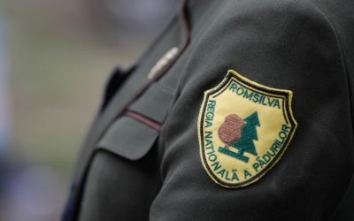 Reorganizare majoră la Romsilva: Din 41 de direcții județene, vor rezulta 19 regionale Guvernul a aprobat reorganizarea Romsilva, o măsură care va transforma radical structura instituției