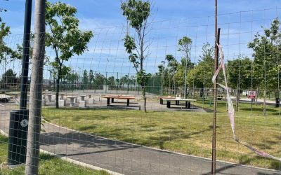 Mese de ping-pong ajung în școlile timișorene, finanțate prin PNRR Primăria Timișoara investește în amenajarea curților școlilor, dotând 30 de unități de învățământ cu mese de ping-pong