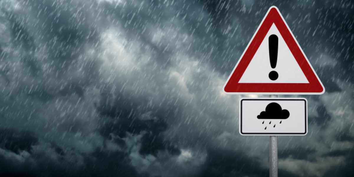 Cod galben de ploi, ninsori și vânt puternic, valabil în mare parte din țară Administrația Națională de Meteorologie (ANM) a emis, vineri, mai multe avertizări meteorologice de tip cod galben, valabile în diferite zone ale țării