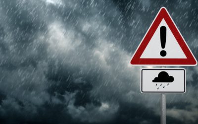 Cod galben de ploi, ninsori și vânt puternic, valabil în mare parte din țară Administrația Națională de Meteorologie (ANM) a emis, vineri, mai multe avertizări meteorologice de tip cod galben, valabile în diferite zone ale țării