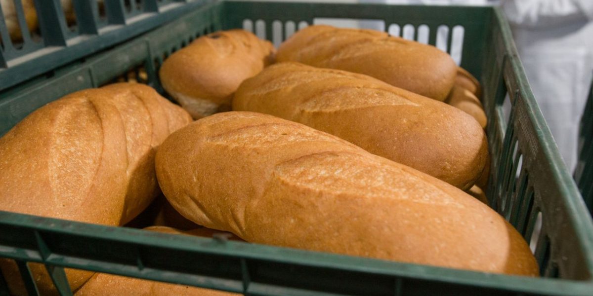 Vel Pitar retrage de pe piață loturi de pâine după descoperirea unui corp străin Autoritatea Națională Sanitară Veterinară și pentru Siguranța Alimentelor (ANSVSA) a anunțat retragerea de pe piață a unor loturi de pâine produse de Vel Pitar România, după ce într-un caz izolat a fost descoperit un corp străin