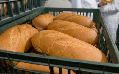 Vel Pitar retrage de pe piață loturi de pâine după descoperirea unui corp străin Autoritatea Națională Sanitară Veterinară și pentru Siguranța Alimentelor (ANSVSA) a anunțat retragerea de pe piață a unor loturi de pâine produse de Vel Pitar România, după ce într-un caz izolat a fost descoperit un corp străin