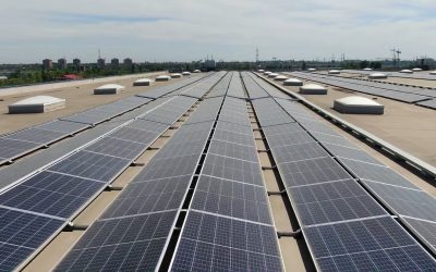 Gigantul norvegian al investițiilor intră pe piața energiei regenerabile din SUA Fondul suveran de investiții al Norvegiei, cel mai mare din lume, face un pas important în sectorul energiei regenerabile