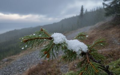 Vremea se schimbă radical în vestul Ungariei: ploi abundente, vânt puternic și ninsori în anticipare Temperaturile au scăzut semnificativ în nord-vestul Ungariei joi, aducând cu ele ploi și vânt puternic, dar și semne ale unei schimbări radicale a vremii