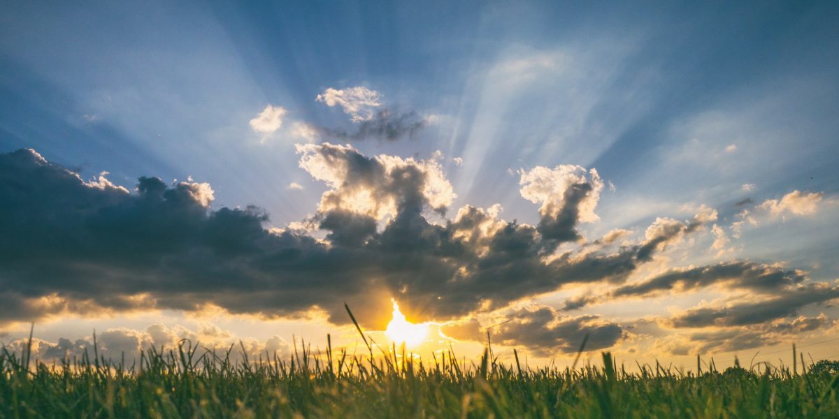 Weather & Traffic: Friday 27 March: You can leave your hat on (and everything else)