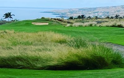 Avertisment de furtună pe insula Hilo: ploi abundente și vânt puternic Insula Hilo, din Hawaii, se pregătește pentru un weekend cu vreme capricioasă, conform ultimelor prognoze meteorologice