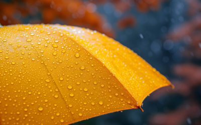 Vremea de primăvară: Meteorologii anunță un aprilie cu ploi, dar și secetă București, 27 martie 2026 – Vremea în România va fi, în general, normală pentru această perioadă până la finalul lui aprilie, potrivit prognozei meteorologice