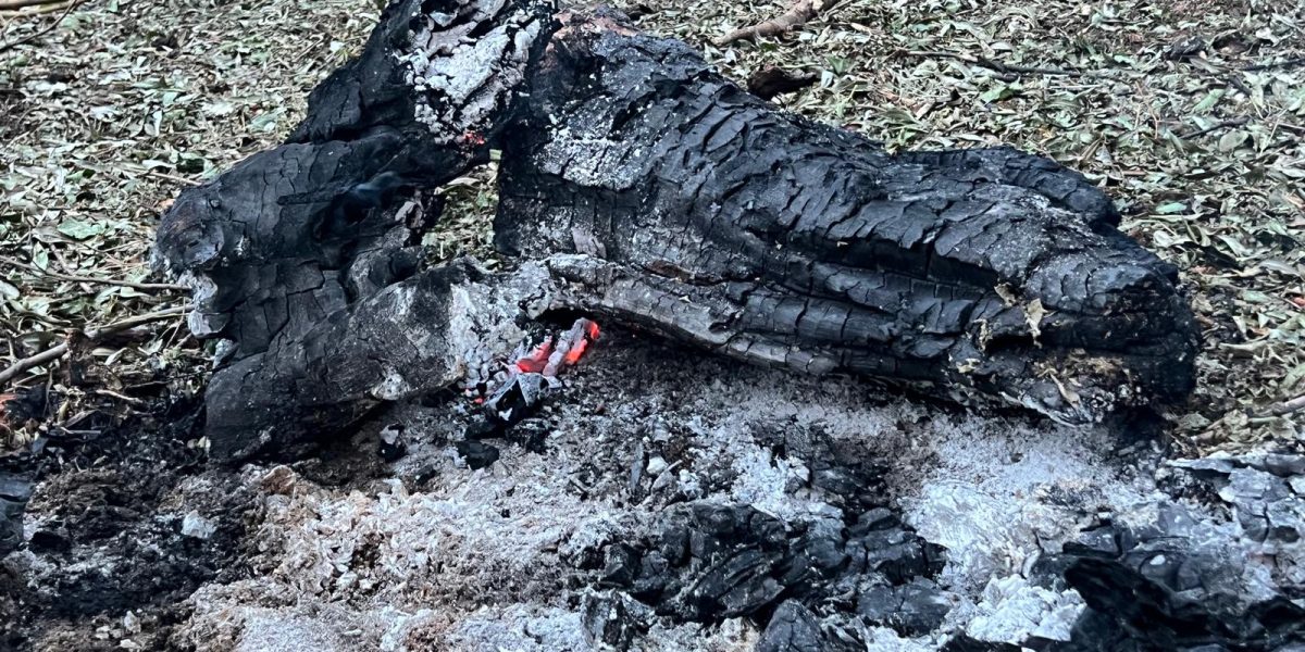 Ministerul Apărării: Avioanele românești aveau ordin să tragă Ministrul Apărării, Radu Miruță, a confirmat sâmbătă că avioanele de vânătoare ridicate vineri, după ce au fost detectate ținte aeriene în apropierea graniței cu Ucraina, aveau aprobarea să folosească armamentul