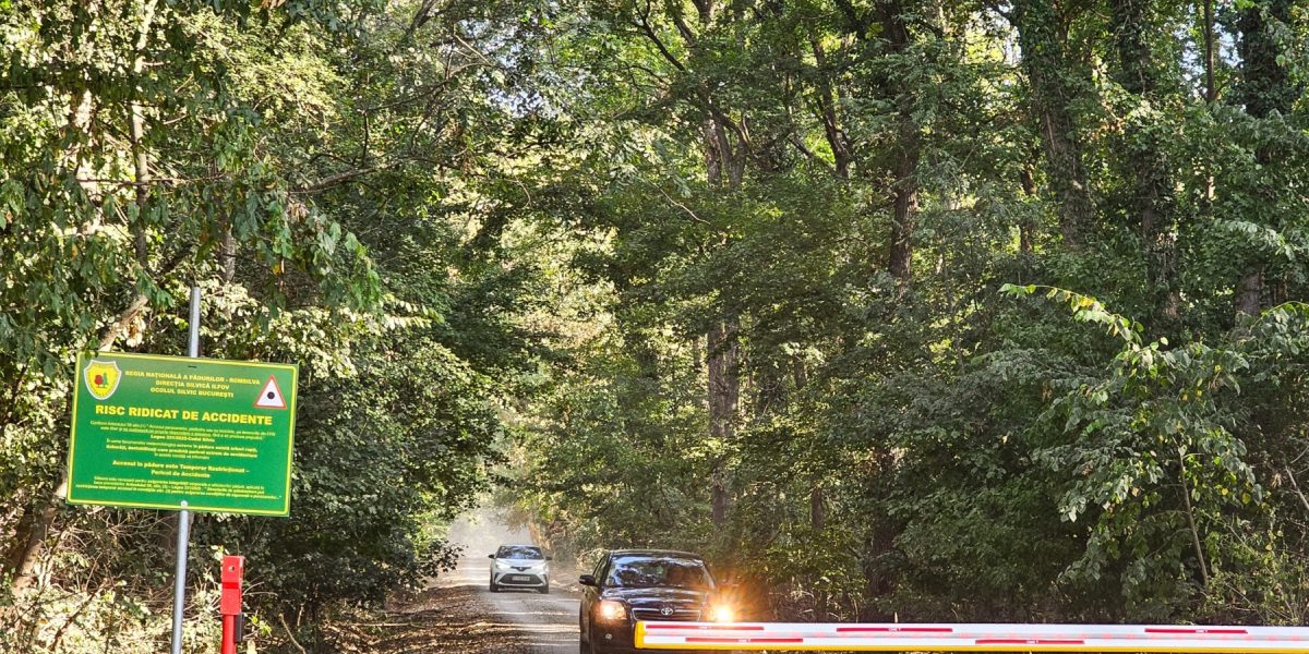 Protejarea Pădurii Băneasa, un angajament ferm asumat