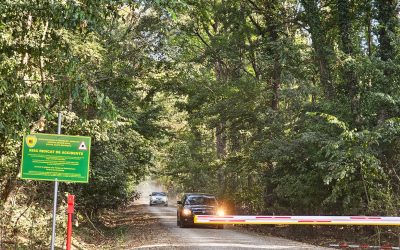 Protejarea Pădurii Băneasa, un angajament ferm asumat