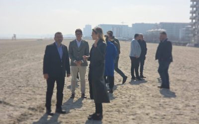 Control la Năvodari: Ministra Buzoianu verifică planurile de parcare pe plajă Ministra Mediului, Diana Buzoianu, efectuează astăzi o vizită de control la Năvodari, pe plaja unde Primăria, condusă de primarul Florin Chelaru, intenționează să construiască o parcare