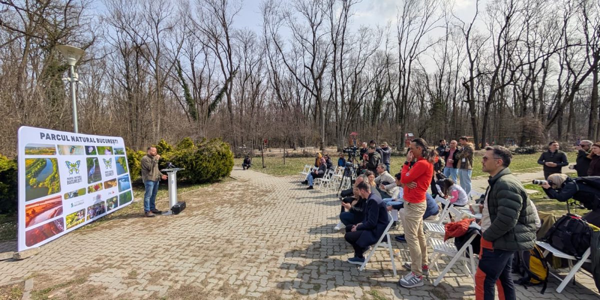Pădurea Băneasa, pe cale să devină parc natural: Studiu depus la Academia Română Pădurea Băneasa, situată în nordul Capitalei, face un pas important spre a deveni arie naturală protejată de interes național
