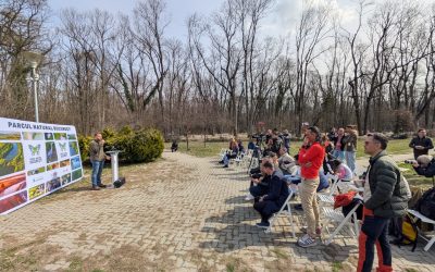 Pădurea Băneasa, pe cale să devină parc natural: Studiu depus la Academia Română Pădurea Băneasa, situată în nordul Capitalei, face un pas important spre a deveni arie naturală protejată de interes național