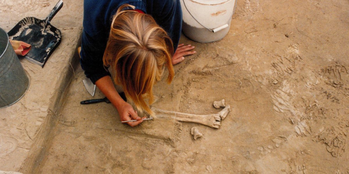 Descoperire în Alaska: Unelte de mamut vechi de 14.000 de ani schimbă istoria Americilor