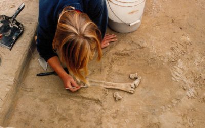 Descoperire în Alaska: Unelte de mamut vechi de 14.000 de ani schimbă istoria Americilor