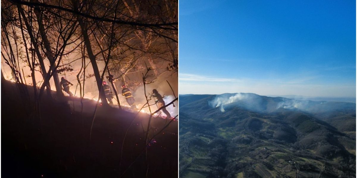 Incendii puternice de vegetație au izbucnit în Maramureș și Satu Mare, cu zeci de hectare mistuite de flăcări Pompierii din județele Maramureș și Satu Mare se luptă cu incendii de vegetație de amploare, care au distrus zeci de hectare de teren