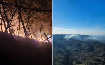 Incendii puternice de vegetație au izbucnit în Maramureș și Satu Mare, cu zeci de hectare mistuite de flăcări Pompierii din județele Maramureș și Satu Mare se luptă cu incendii de vegetație de amploare, care au distrus zeci de hectare de teren