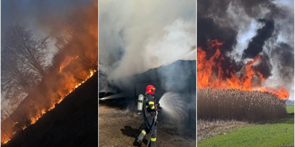 Incendiu devastator în Bihor: un bărbat a murit carbonizat Un bărbat în vârstă de 69 de ani a fost găsit fără viață într-o pășune cuprinsă de flăcări în Huta Voivozi, județul Bihor
