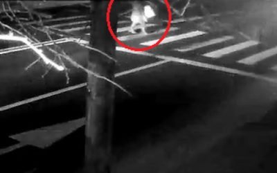 Fotbalistul Rapidului Kader Keita, cercetat penal după un accident rutier cu victime Fotbalistul de la Rapid București, Kader Keita, este cercetat penal după ce a fost implicat într-un accident rutier în urma căruia o femeie în vârstă de 67 de ani a fost grav rănită