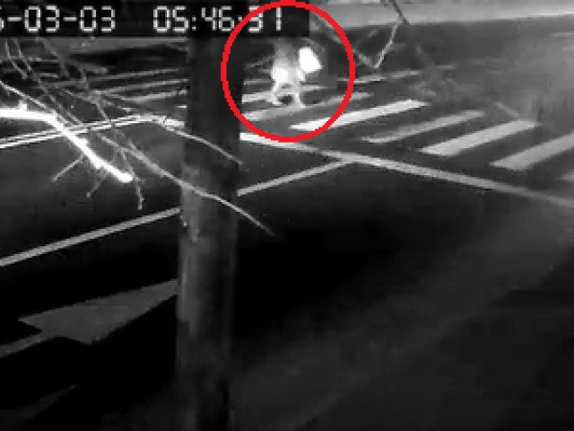 Fotbalistul Rapidului Kader Keita, cercetat penal după un accident rutier cu victime Fotbalistul de la Rapid București, Kader Keita, este cercetat penal după ce a fost implicat într-un accident rutier în urma căruia o femeie în vârstă de 67 de ani a fost grav rănită