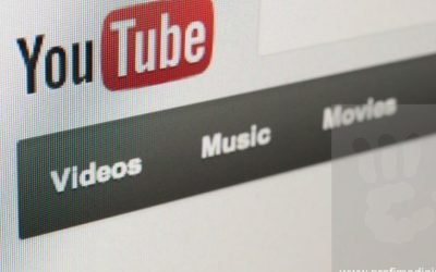 YouTube combate deepfake-urile: Noi instrumente pentru protejarea identității jurnaliștilor și oficialilor Platforma YouTube a anunțat extinderea instrumentului său de identificare a conținutului generat de inteligența artificială, Likeness ID, către o gamă mai largă de utilizatori