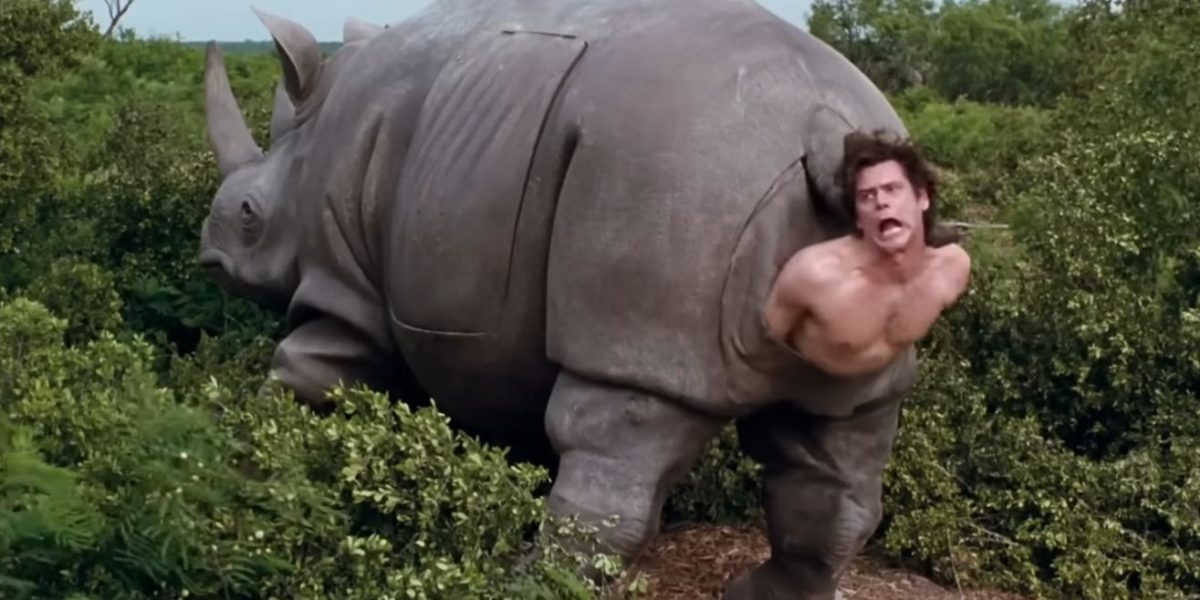 Rinocerul din ace ventura se vinde la licitație. Cât costă piesa iconică?