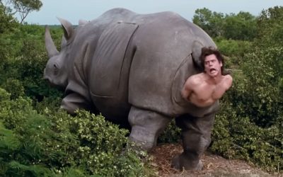 Rinocerul din ace ventura se vinde la licitație. Cât costă piesa iconică?