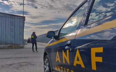 Inspectorii Antifraudă au demarat o amplă operațiune de control la nivel național, vizând un grup de firme care activează în domeniul serviciilor de pază și protecție