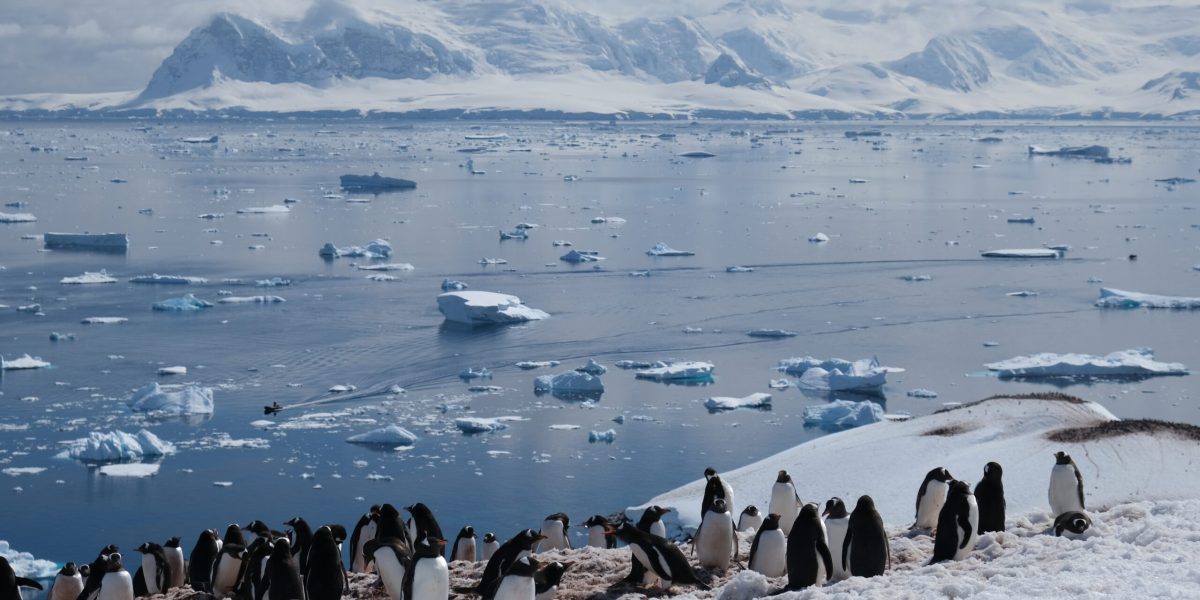 Planctonul din Oceanul Sudic, un actor-cheie în lupta contra schimbărilor climatice Oceanul Sudic, o regiune vastă și adesea subestimată, joacă un rol crucial în reglarea climei globale