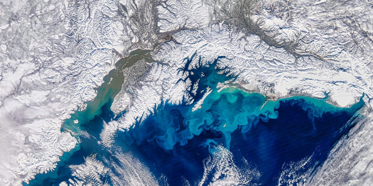 Iată câteva variante:

Antarctica: Ghețar se prăbușește record, topind rapid. (52 caractere)
Nou record: Ghețar antarctic cu cea mai rapidă prăbușire. (56 caractere)
Alertă în Antarctica: Ghețar documentează prăbușire accelerată. (63 caractere)
Prăbușire record pentru un ghețar antarctic, cea mai rapidă. (61 caractere)