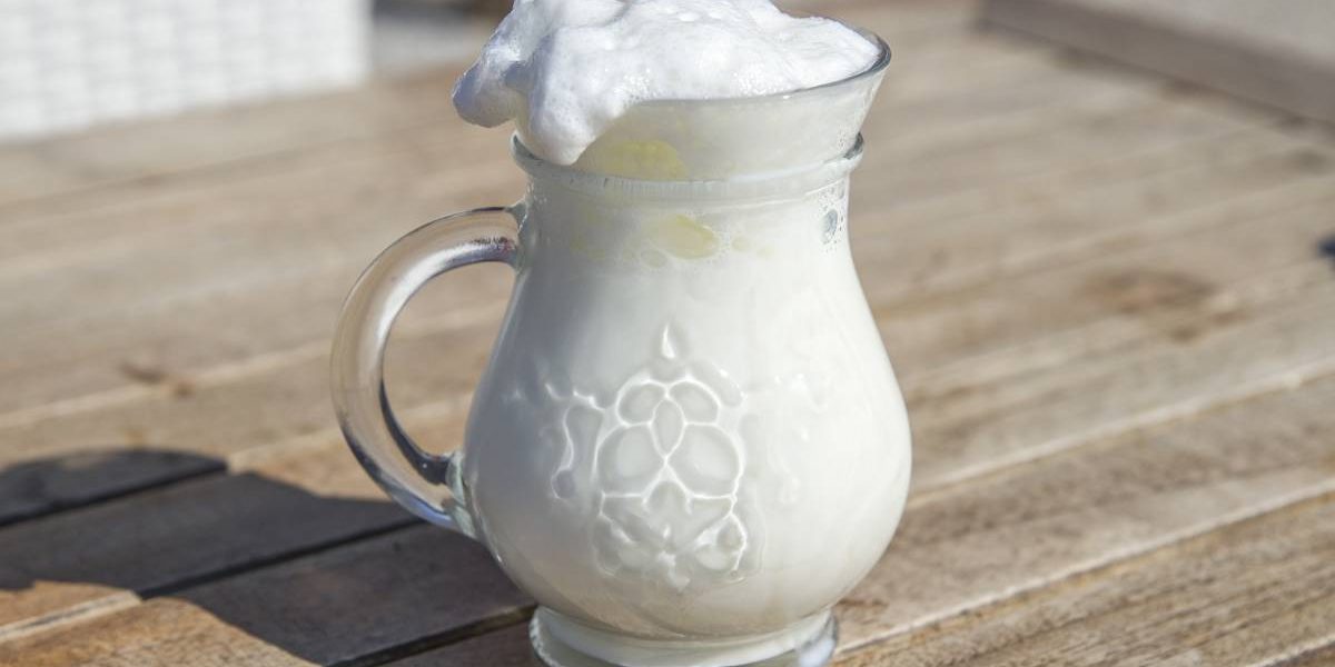 Ayranul, băutura răcoritoare cu origini milenare care cucerește și românii Ayranul, o băutură tradițională cu un gust ușor sărat și o textură cremoasă, revine în atenția publică datorită proprietăților sale hidratante și a beneficiilor pentru sănătate