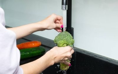 Broccoli, de la garnitură contestată la vedetă a nutriției Broccoli, o legumă controversată care împarte adesea opiniile la masa de seară, ascunde o istorie bogată și o valoare nutrițională remarcabilă
