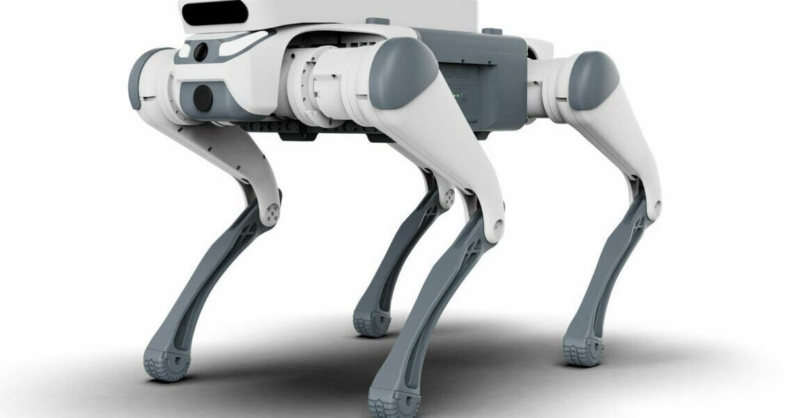 Oraș din România unde roboții sprijină curățenia pe străzi