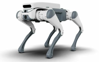 Oraș din România unde roboții sprijină curățenia pe străzi