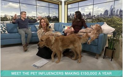 Câini influenceri: o afacere de succes care aduce sute de mii de lire sterline O femeie din Marea Britanie a transformat afecțiunea pentru câinii săi într-o afacere extrem de profitabilă, generând venituri anuale de peste 150.000 de lire sterline
