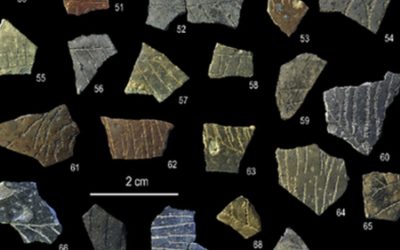 Modele geometrice vechi de 60.000 de ani, descoperite pe coji de ouă