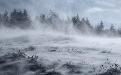 Cod portocaliu de viscol în munți: ANM avertizează asupra ninsorilor abundente Administrația Națională de Meteorologie (ANM) a emis sâmbătă dimineața două avertizări de tip nowcasting, cu cod portocaliu, pentru zonele montane din mai multe județe