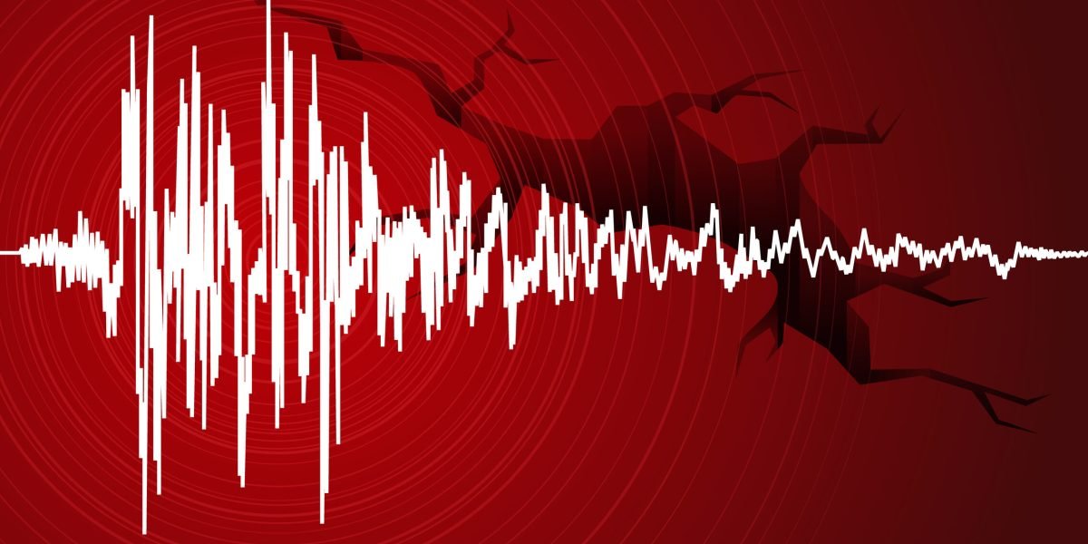 Structura Clădirilor: Scheletul Invizibil Care Ne Protejează Când cumpărăm o mașină, ne bazăm pe airbag-uri, frâne și șasiu pentru a ne proteja în caz de accident