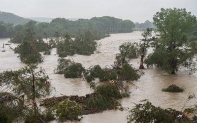 Google introduce un instrument bazat pe inteligență artificială pentru anticiparea inundațiilor Gigantul tehnologic Google a dezvoltat o nouă unealtă, denumită „Groundsource”, care utilizează inteligența artificială (AI) pentru a prezice inundațiile rapide
