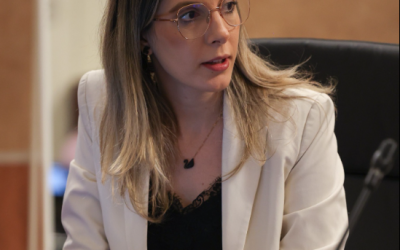 Romsilva intră în reorganizare: Mai puține direcții regionale și criterii de performanță pentru directori Reorganizarea Romsilva a fost aprobată de Guvern, marcând o reformă majoră a sistemului silvic românesc