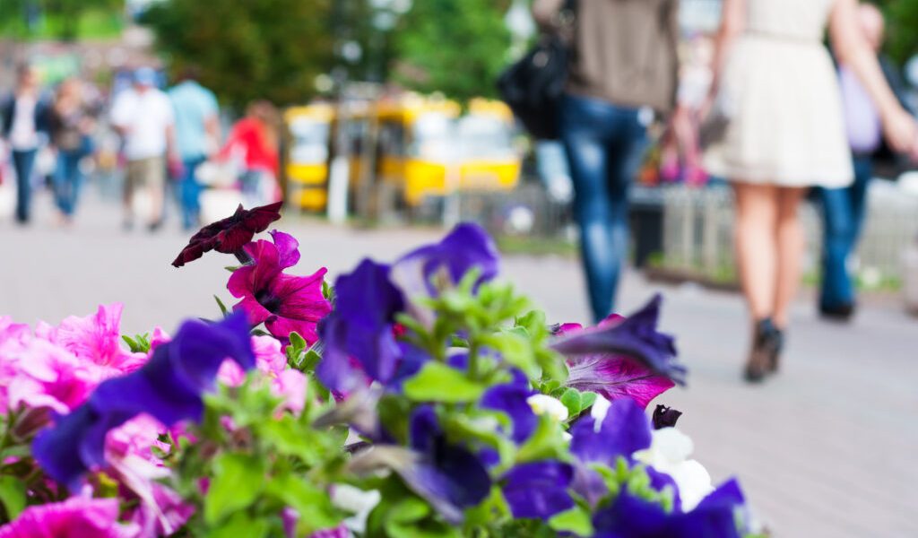 Dorobanți se pregătește de Florii: restricții de trafic și piață redeschisă În weekendul dedicat Floriilor, cartierul Dorobanți din București va suferi modificări importante, anunță autoritățile locale