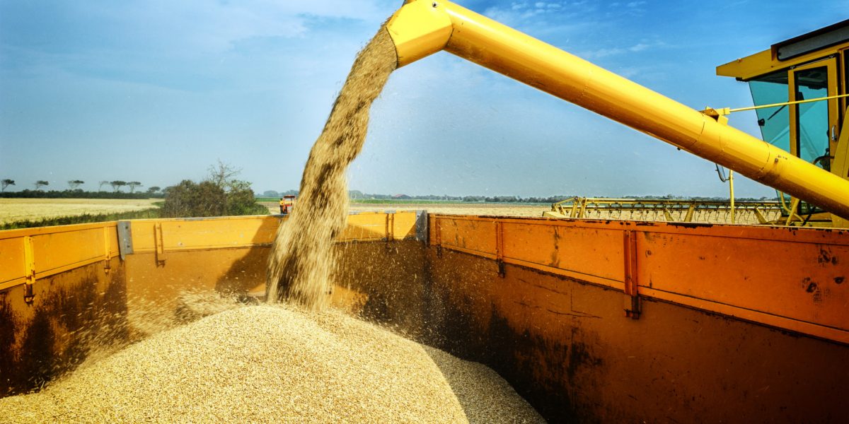 Războiul din Iran amenință prețurile alimentelor: Costul îngrășămintelor, în creștere cu până la 40% Conflictul din Iran a dus la o creștere semnificativă a prețurilor îngrășămintelor minerale, cu impact direct asupra costului alimentelor la nivel global