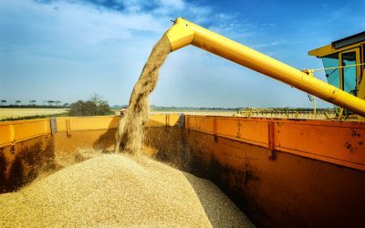 Războiul din Iran amenință prețurile alimentelor: Costul îngrășămintelor, în creștere cu până la 40% Conflictul din Iran a dus la o creștere semnificativă a prețurilor îngrășămintelor minerale, cu impact direct asupra costului alimentelor la nivel global