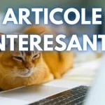 Interesant: Articole de citit pe 15 martie 2026