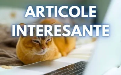 Interesant: Articole de citit pe 15 martie 2026