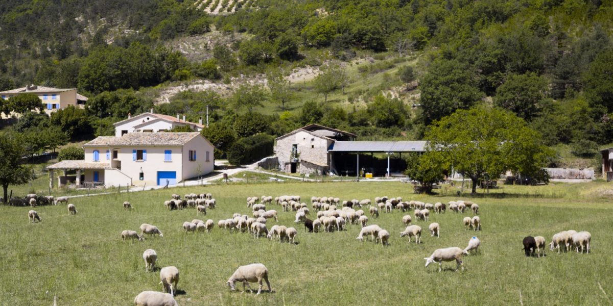 Acordul UE-Australia: Oportunități și temeri pentru fermieri Un acord de liber schimb între Uniunea Europeană și Australia a fost semnat recent la Canberra, după ani de negocieri